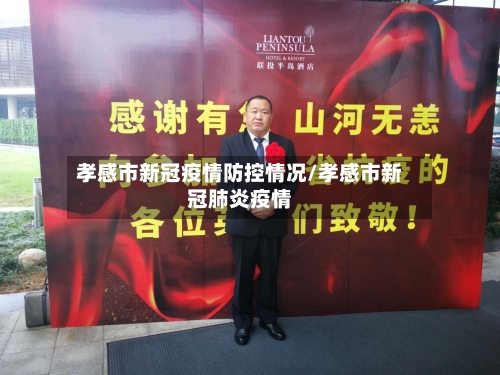 孝感市新冠疫情防控情况/孝感市新冠肺炎疫情-第2张图片