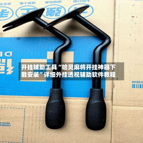 开挂辅助工具“哈灵麻将开挂神器下载安装”详细外挂透视辅助软件教程-第2张图片