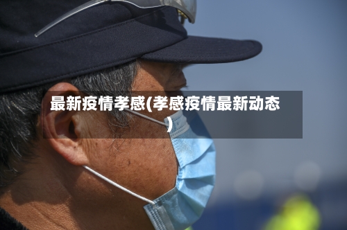 最新疫情孝感(孝感疫情最新动态)-第2张图片