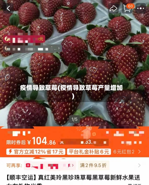 疫情导致草莓(疫情导致草莓产量增加)-第2张图片