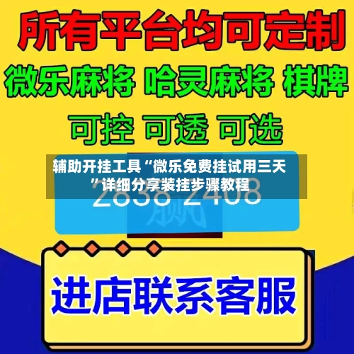 辅助开挂工具“微乐免费挂试用三天”详细分享装挂步骤教程-第2张图片