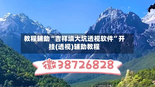 教程辅助“吉祥填大坑透视软件”开挂(透视)辅助教程-第2张图片