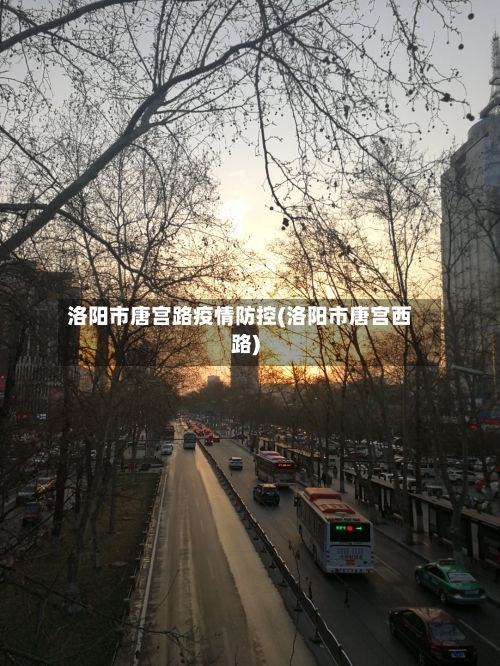 洛阳市唐宫路疫情防控(洛阳市唐宫西路)