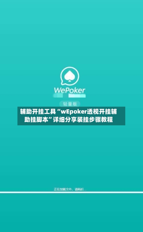 辅助开挂工具“wEpoker透视开挂辅助挂脚本	”详细分享装挂步骤教程-第2张图片