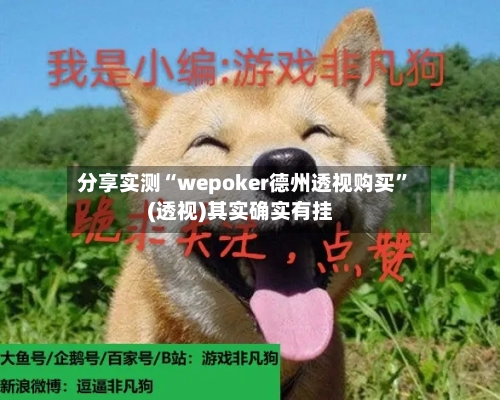 分享实测“wepoker德州透视购买”(透视)其实确实有挂-第3张图片