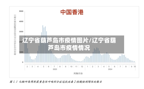 辽宁省葫芦岛市疫情图片/辽宁省葫芦岛市疫情情况