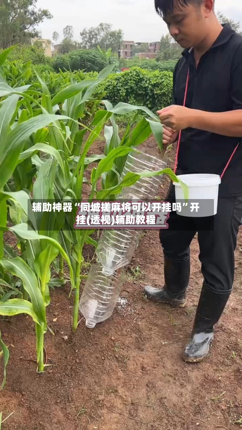 辅助神器“同城搓麻将可以开挂吗”开挂(透视)辅助教程