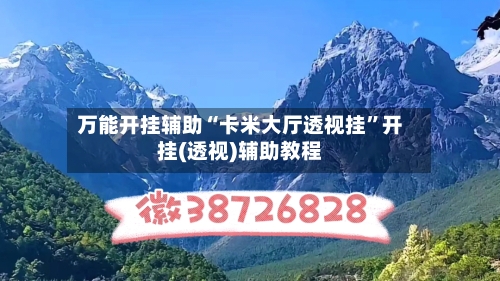 万能开挂辅助“卡米大厅透视挂”开挂(透视)辅助教程-第2张图片