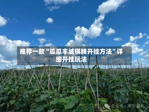 推荐一款“瓜瓜丰城棋牌开挂方法”详细开挂玩法-第2张图片