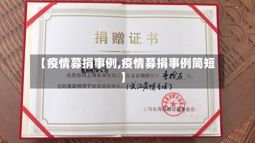 【疫情募捐事例,疫情募捐事例简短】-第3张图片