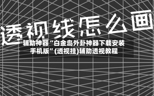 辅助神器“白金岛外卦神器下载安装手机版”(透视挂)辅助透视教程-第2张图片