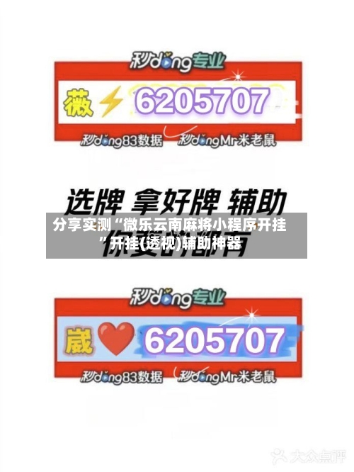 分享实测“微乐云南麻将小程序开挂”开挂(透视)辅助神器-第2张图片