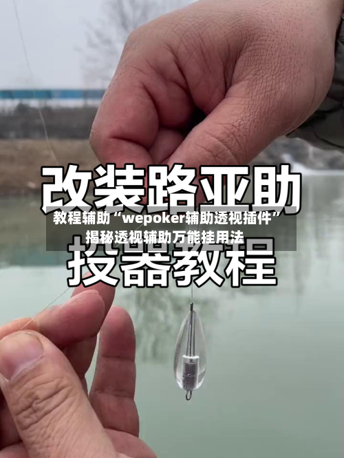 教程辅助“wepoker辅助透视插件”揭秘透视辅助万能挂用法-第2张图片
