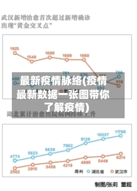 最新疫情脉络(疫情最新数据一张图带你了解疫情)-第2张图片