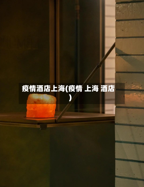 疫情酒店上海(疫情 上海 酒店)