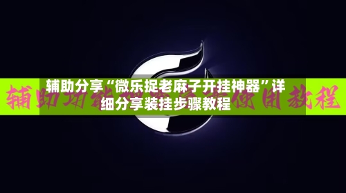 辅助分享“微乐捉老麻子开挂神器”详细分享装挂步骤教程-第2张图片