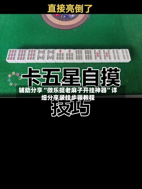 辅助分享“微乐捉老麻子开挂神器”详细分享装挂步骤教程-第3张图片