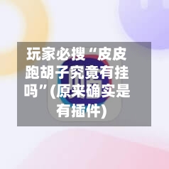 玩家必搜“皮皮跑胡子究竟有挂吗	”(原来确实是有插件)-第2张图片