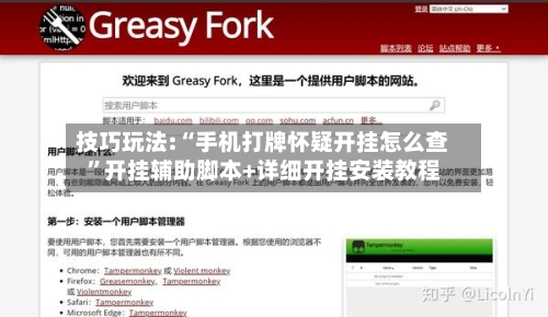 技巧玩法:“手机打牌怀疑开挂怎么查	”开挂辅助脚本+详细开挂安装教程-第3张图片