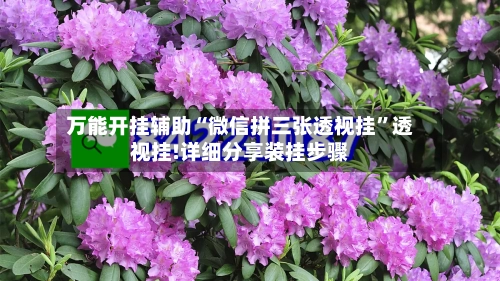 万能开挂辅助“微信拼三张透视挂”透视挂!详细分享装挂步骤-第3张图片