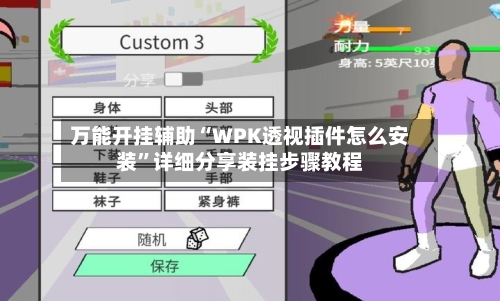 万能开挂辅助“WPK透视插件怎么安装”详细分享装挂步骤教程-第2张图片