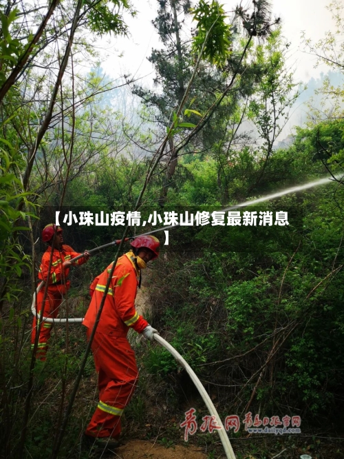 【小珠山疫情,小珠山修复最新消息】