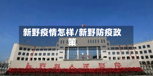 新野疫情怎样/新野防疫政策