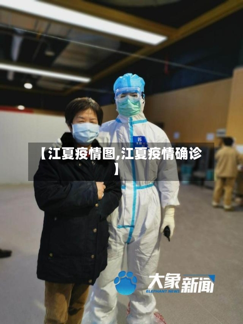 【江夏疫情图,江夏疫情确诊】