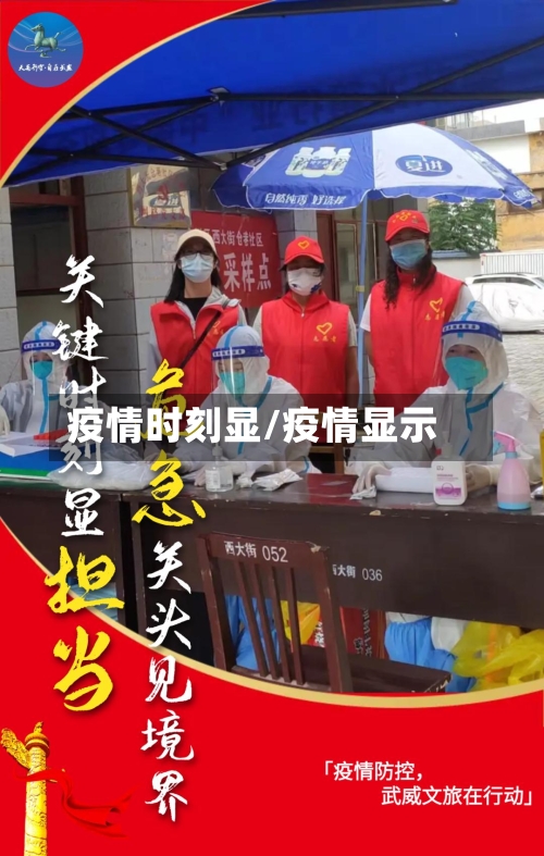 疫情时刻显/疫情显示