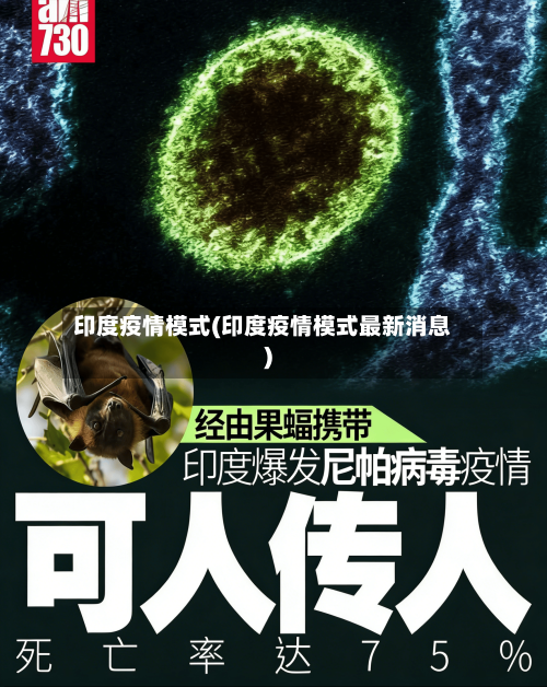 印度疫情模式(印度疫情模式最新消息)