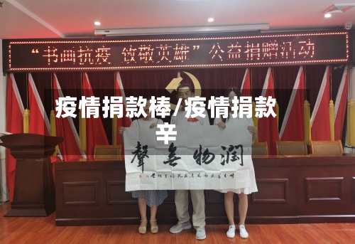 疫情捐款棒/疫情捐款辛-第3张图片