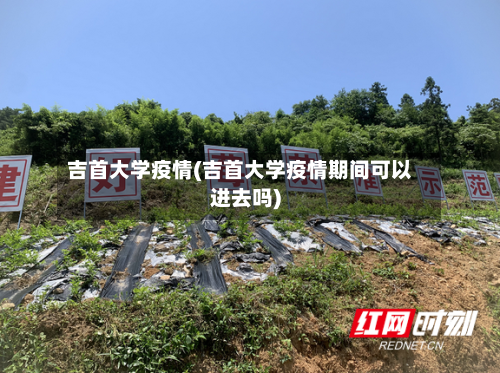 吉首大学疫情(吉首大学疫情期间可以进去吗)-第3张图片