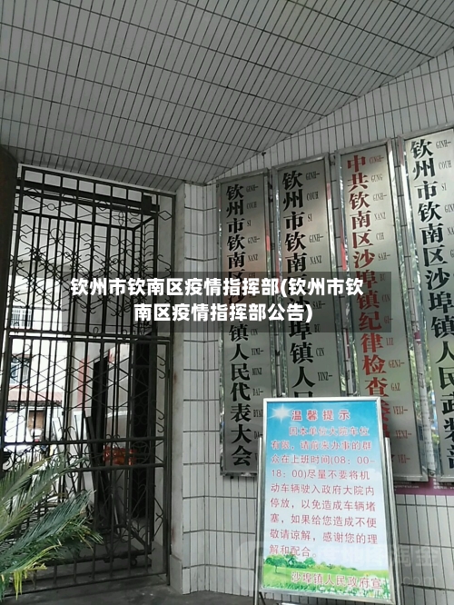 钦州市钦南区疫情指挥部(钦州市钦南区疫情指挥部公告)