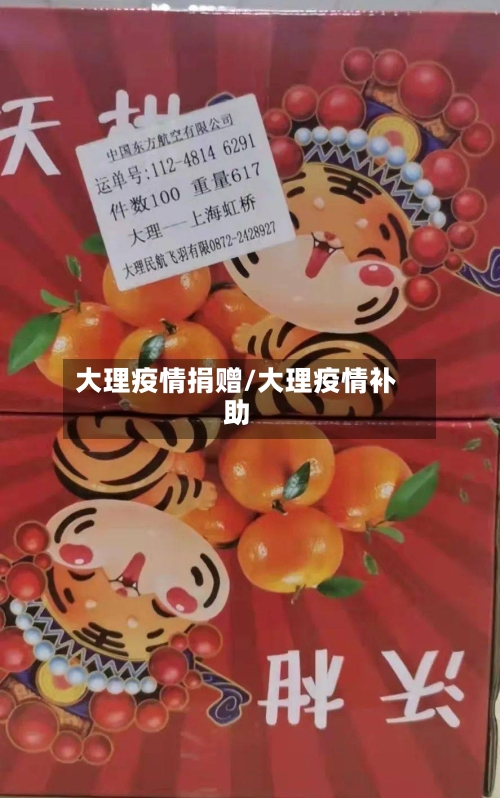 大理疫情捐赠/大理疫情补助