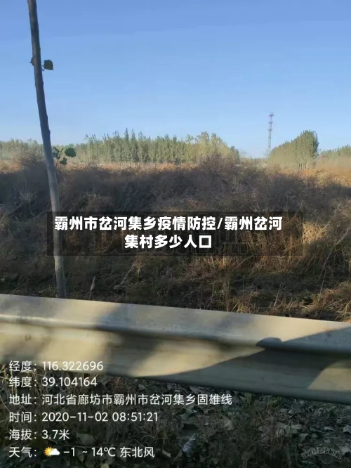 霸州市岔河集乡疫情防控/霸州岔河集村多少人口-第3张图片
