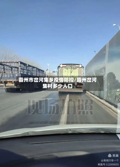 霸州市岔河集乡疫情防控/霸州岔河集村多少人口-第2张图片