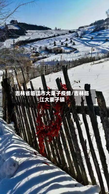 吉林省临江市大栗子疫情/吉林临江大栗子镇-第2张图片