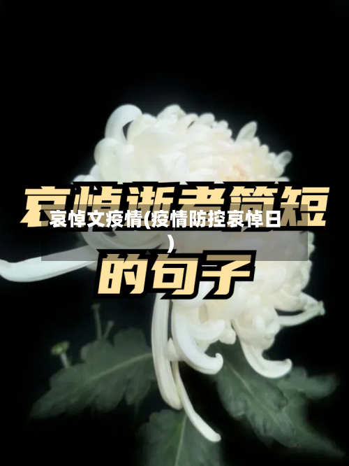 哀悼文疫情(疫情防控哀悼日)-第3张图片