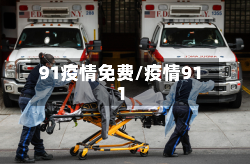 91疫情免费/疫情911-第3张图片