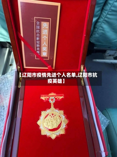 【辽阳市疫情先进个人名单,辽阳市抗疫英雄】-第2张图片