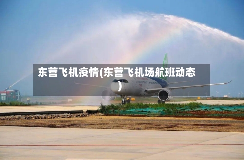 东营飞机疫情(东营飞机场航班动态)